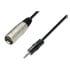 Thumbnail 1 : Adam Hall Cables 3m XLR Male x Minijack Balanced Cable