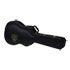 Thumbnail 1 : Epiphone 940-EBICS Dobro Case