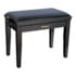 Thumbnail 1 : Roland RPB-220PE Piano Bench with Velour Seat