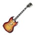 Thumbnail 1 : Gibson SG Supreme Fireburst