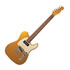 Thumbnail 1 : Fender - MIJ Hybrid II Tele P90 Mystic Aztec Gold