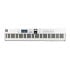 Thumbnail 3 : Arturia KeyLab Essential 88 Mk3 - White