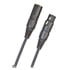Thumbnail 1 : D'Addario Classic Series XLR Microphone Cable, 25 feet