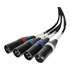 Thumbnail 3 : Palmer AoC Loom XLR M