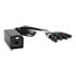 Thumbnail 2 : Palmer AoC Loom XLR F