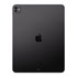 Thumbnail 2 : Apple iPad Pro 13" 256GB WiFi + Cellular Tablet with Standard Glass - Space Black