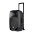 Thumbnail 1 : (Ex-Demo) Italian Stage FR12AWV2 Portable Speaker with Battery