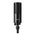 Thumbnail 2 : Shure SM4 Dual Diaphragm Condenser Mic