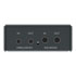 Thumbnail 3 : Magewell Pro Convert AES67
