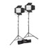 Thumbnail 1 : Godox Litemons LP600BI 2-Light Kit