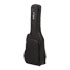 Thumbnail 2 : DH DHBAGB Acoustic Guitar Gig Bag