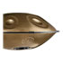 Thumbnail 2 : Meinl Sonic Energy Handpan, D Amara, 9 Notes, Vintage Gold - HPSTL91