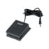Thumbnail 1 : Ketron Sustain Foot Pedal