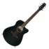 Thumbnail 1 : Ibanez AAM340CE Rustic Black High Gloss