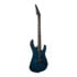 Thumbnail 2 : Legator N6SS Blue Burl