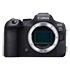 Thumbnail 1 : Canon EOS R6 Mark II, Body Only + DaVinci Resolve Studio Bundle