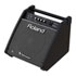Thumbnail 1 : (Open Box) Roland PM-100 80-Watt Personal Monitor