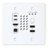 Thumbnail 1 : Turtle AV Chaxy 4K Wall Plate TX