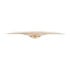 Thumbnail 4 : Meinl 18" Pure Alloy Extra Hammered China Cymbal