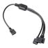 Thumbnail 3 : EK-Loop 300mm D-RGB 3-Way Splitter Cable
