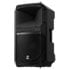Thumbnail 1 : Electrovoice EVIVA 15P 15" Loudspeaker