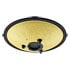 Thumbnail 2 : Meinl Sonic Energy 10" Compact Steel Tongue Drum, D Minor, 8 Notes, 432 Hz, Gold