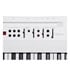 Thumbnail 3 : Korg Liano Live! Compact Digital Piano