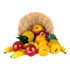 Thumbnail 2 : NINO Percussion "Fruit" Shaker Assortment