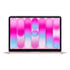 Thumbnail 1 : Apple MacBook Neo 13" A18 Pro 6-Core CPU 8GB RAM 512GB SSD MacOS Blush Laptop