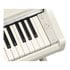 Thumbnail 4 : Yamaha YDP-166 Digital Piano - White Birch