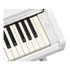 Thumbnail 4 : Yamaha YDP-166 Digital Piano - White