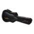 Thumbnail 4 : Epiphone Eric Church Hummingbird Dark, Cobra Burst