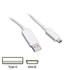 Thumbnail 1 : Creative Labs White Type A to Mini-B USB 2.0 Cable