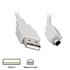 Thumbnail 1 : 2m USB 2.0 Cable - Type A to Mini Mitsumi