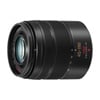 Panasonic LUMIX H-FS45150EK - LUMIX G Vario 45-150mm F4.0-5.6 ASPH. MEGA OIS lens