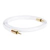 1.8M Griffin Premium 3.5mm (Male) to 3.5mm (Male) TRS Stereo Aux Cable, Flat, Tangle Free, Gold/White