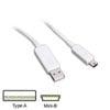 50cm Creative Labs Mini USB 2.0 Cable - Type A (Male) to Mini B (Male), White