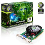 1GB Point of View (POV) GT440 SDDR3