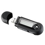 Intenso MUSIC WALKER - 2GB