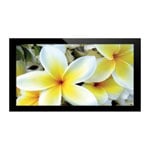 AllSee 46" PF46H2 LCD Digital signage Display