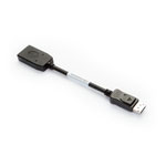 PNY QSP-DPHDMI DisplayPort to HDMI Adapter