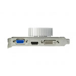Gainward NVIDIA GT 610 Graphics Card - 1GB