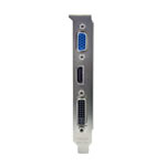 EVGA GeForce GT 610 Low Profile Graphics Card - 2GB