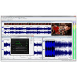 Sony Movie Studio Platinum Suite 12