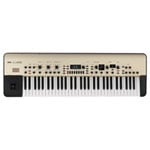 Korg KingKorg  -  Synthesizer