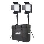 LEDGO-600BCLK2 Dual Colour Lighting Kit