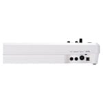 Roland A49WH 49-key MIDI controller (White)