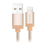 Akasa 1m Gold USB to Lightning Braided Cable Apple MFi