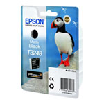 Epson C13T32484010 (T3248) Ink cartridge black matte