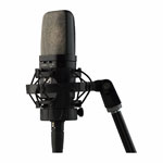 Warm Audio WA-14 Condenser Microphone (Matched Stereo Pair)
